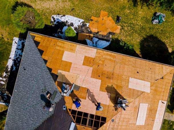 Professional Roofing Contractor in Clinton, IA