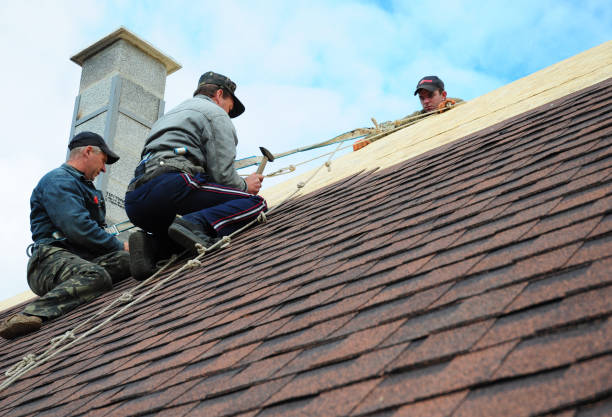 Professional Roofing Contractor in Clinton, IA